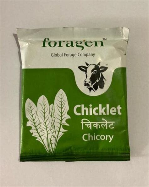 Chicory Chicklet (Foragen) — Farmers Stop.